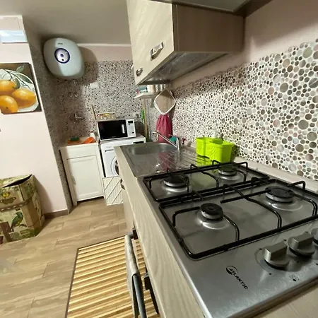 Apartment Viky House *