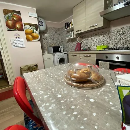 Apartment Viky House