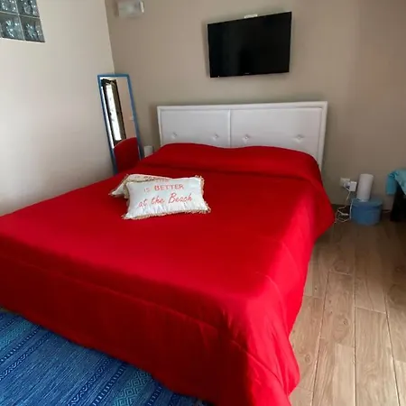 Apartment Viky House *